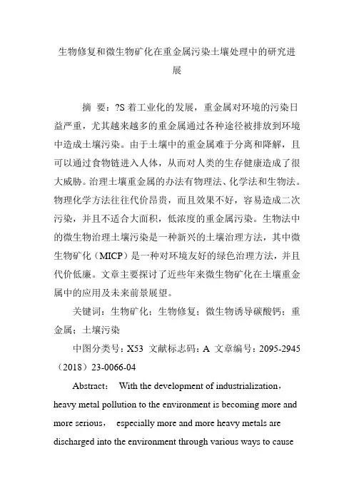 生物修复和微生物矿化在重金属污染土壤处理中的研究进展