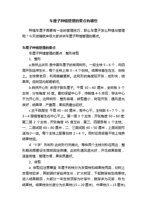 车厘子种植管理的要点有哪些
