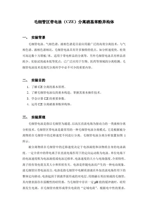 毛细管区带电泳