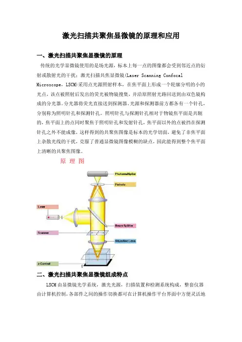 激光扫描共聚焦显微镜的原理和应用