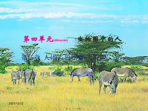 七年级生物下册 第三章 第一节 呼吸道对空气的处理课件 