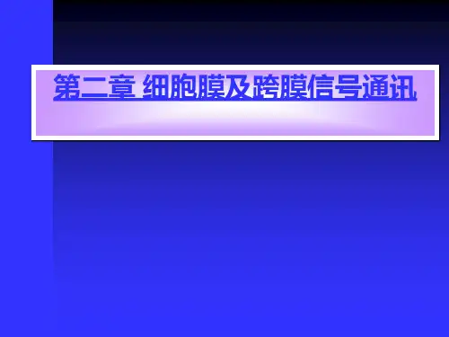 第二章细胞膜及跨膜信号通讯ppt课件