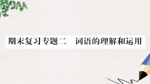 2019年八年级语文上册 期末复习专题2 词语的理解和运用习题课件 新人教版