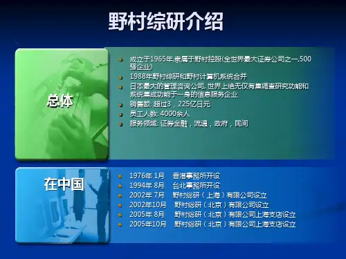 野村综研介绍精
