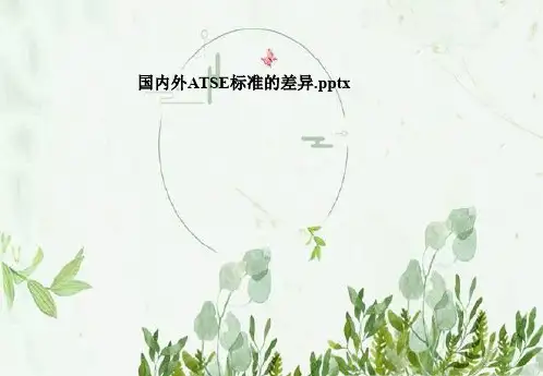 国内外ATSE标准的差异