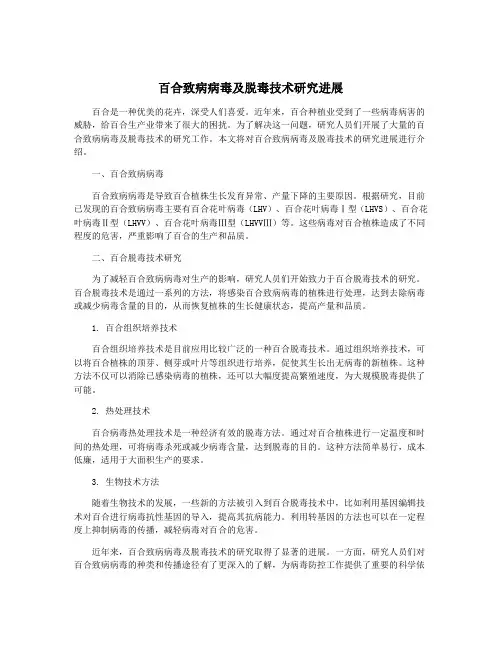 百合致病病毒及脱毒技术研究进展