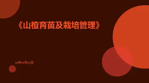 山楂育苗及栽培管理