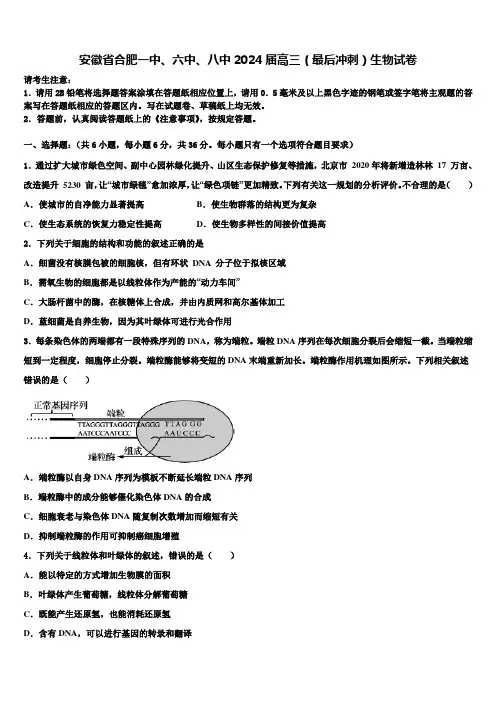 安徽省合肥一中、六中、八中2024届高三(最后冲刺)生物试卷含解析