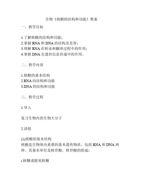 生物《核酸的结构和功能》教案