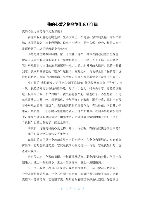 我的心爱之物乌龟作文五年级