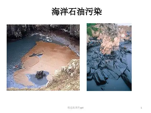 海洋石油污染