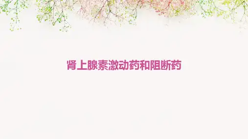 肾上腺素激动药和阻断药