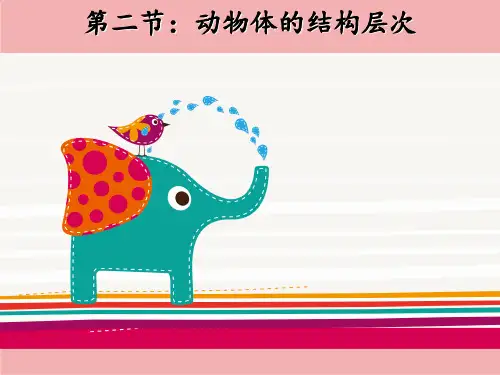 人教版 生物 七年级 上册 第二单元 第二章 第二节动物体的结构层次课件(32张)