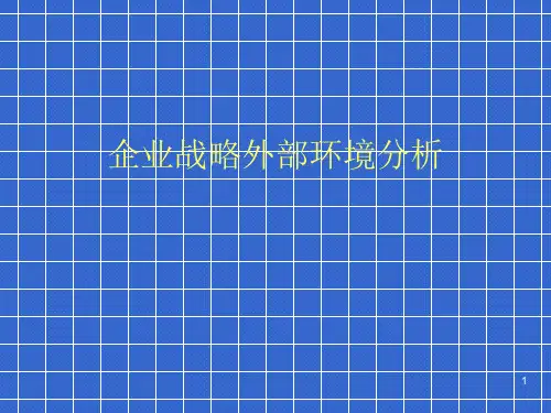 企业战略外部环境分析