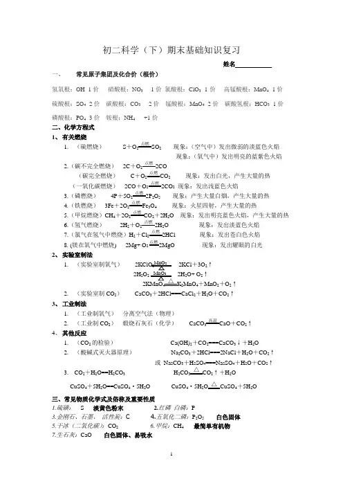 八年级科学(下)化学复习
