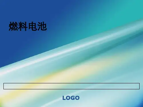 燃料电池之磷酸燃料电池