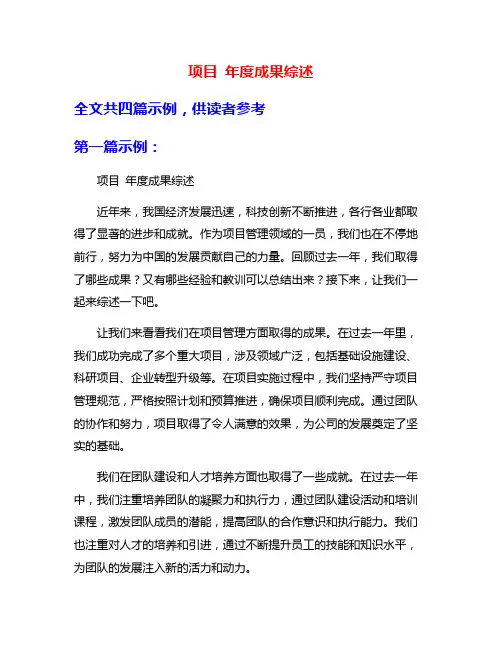 项目 年度成果综述