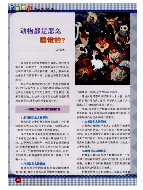 动物都是怎么睡觉的？