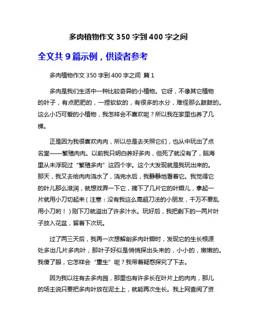 多肉植物作文350字到400字之间