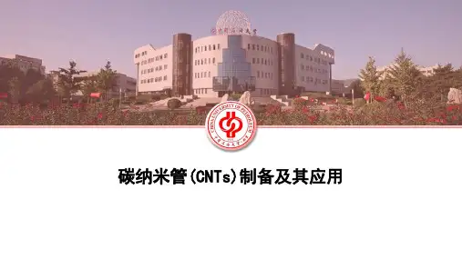碳纳米管