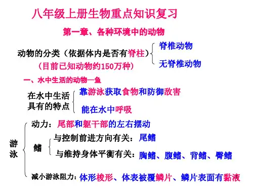 八级上册生物重点知识复习提纲新人教完整版PPT课件
