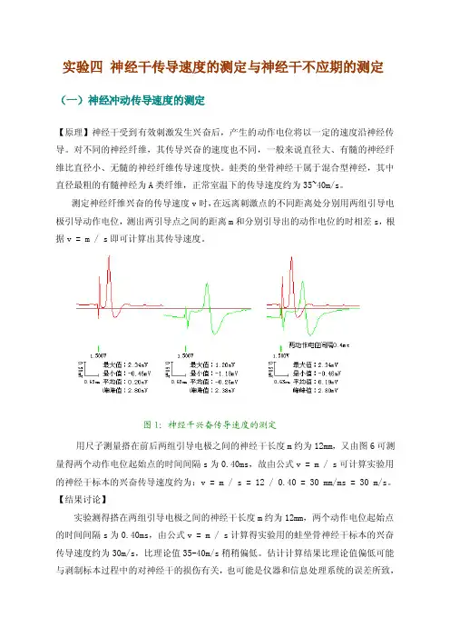 神经干传导速度的测定与神经干