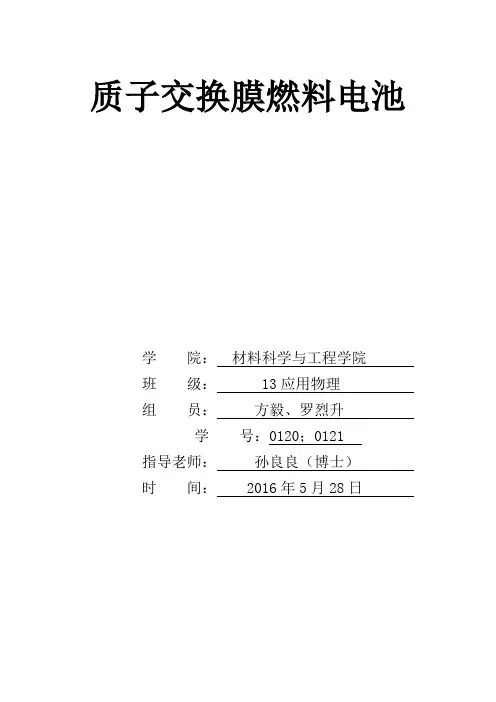 质子交换膜燃料电池 2