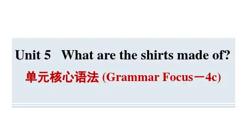 Unit5单元核心语法(GrammarFocus-4c)习题课件人教版英语九年级全册