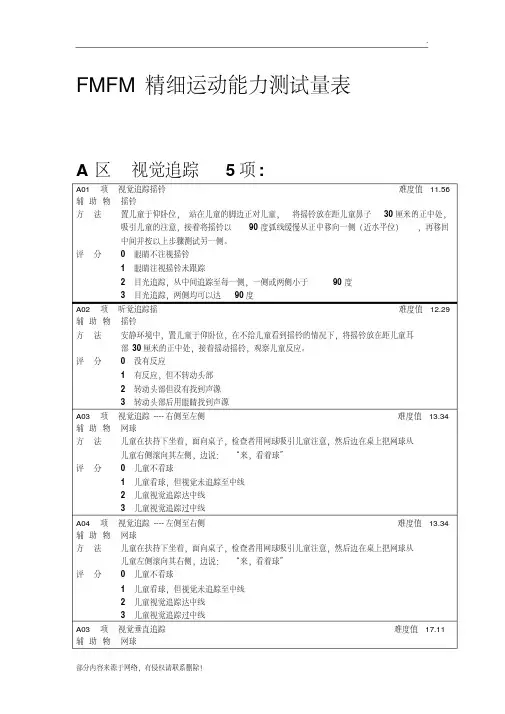 fmfm精细运动量表