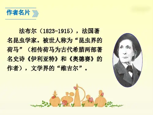 《蝉》课件(优质课)