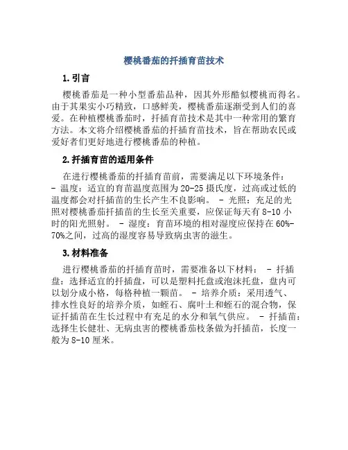 樱桃番茄的扦插育苗技术
