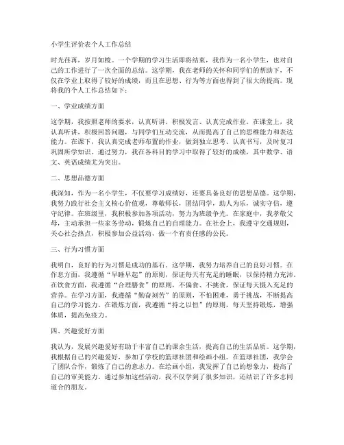 小学生评价表个人工作总结