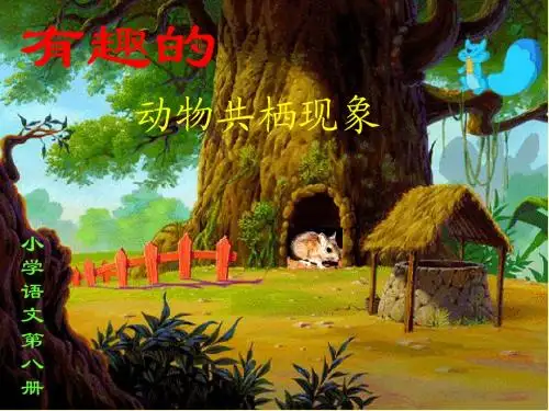 《有趣的生物共栖现象》课件