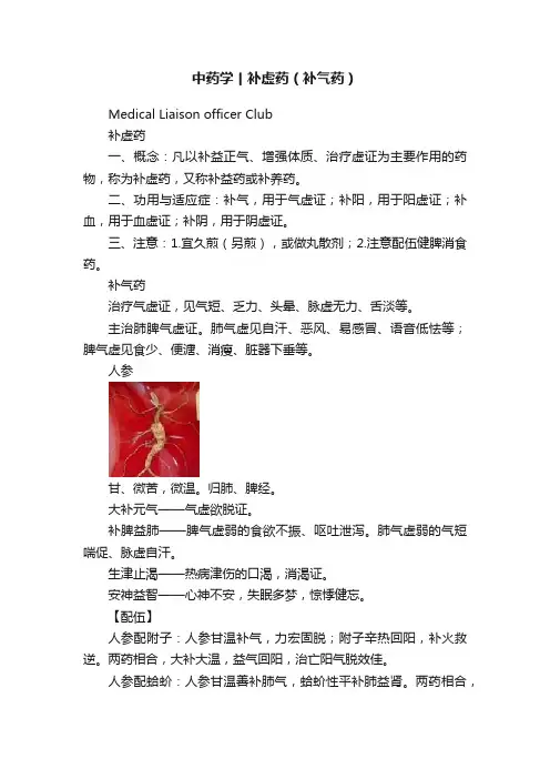 中药学丨补虚药（补气药）