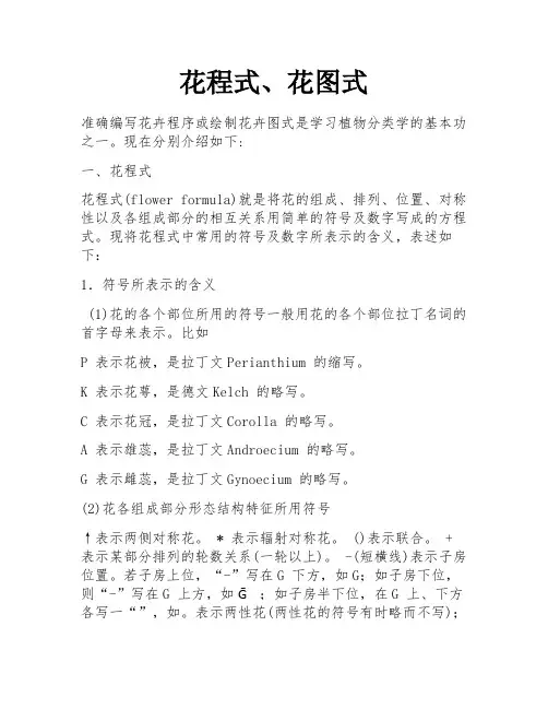 花程式、花图式 