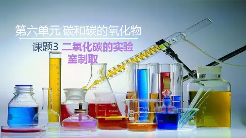 〖化 学〗二氧化碳的实验室制取课件---2024-2025学年九年级化学人教版上册