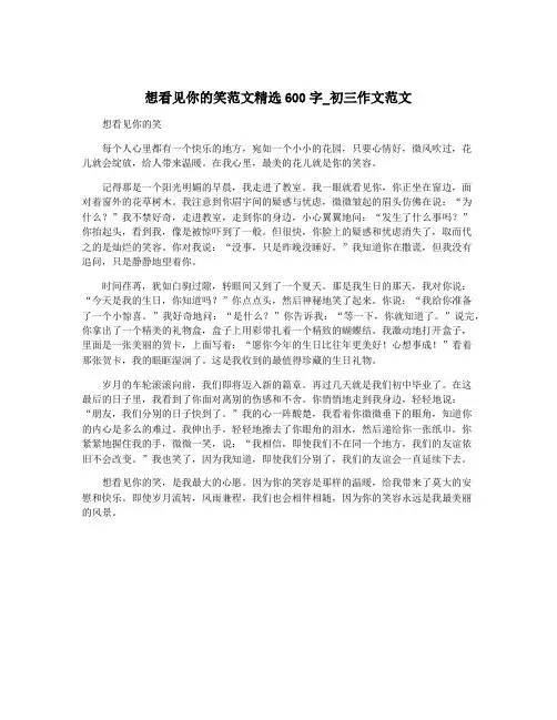 想看见你的笑范文精选600字_初三作文范文