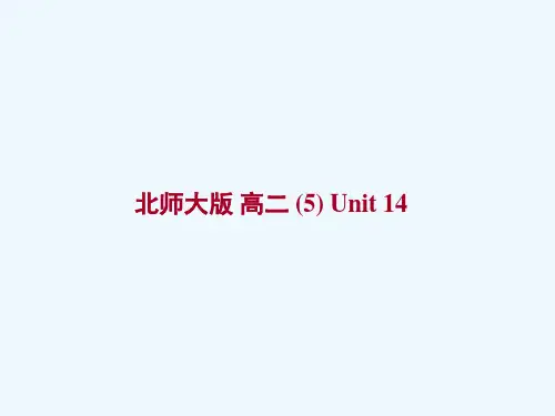 高中英语Unit14lesson1Yourchoice课件