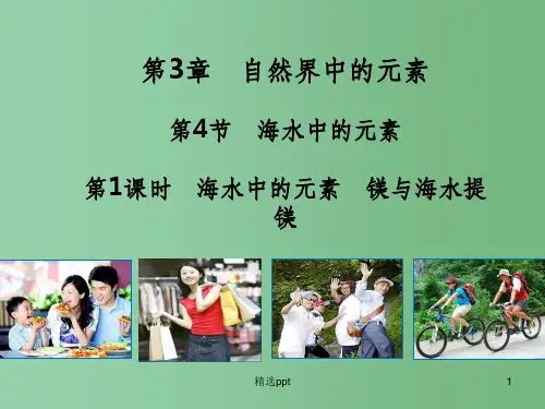 (教师参考)高中化学 3.4.1 海水中的元素 镁与海水提镁课件2 鲁科版必修1