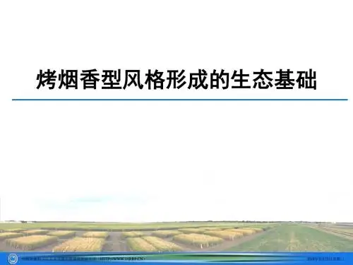 烤烟香型风格形成的生态基础