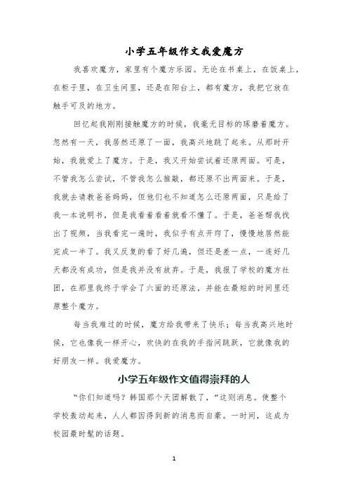 小学五年级作文我爱魔方