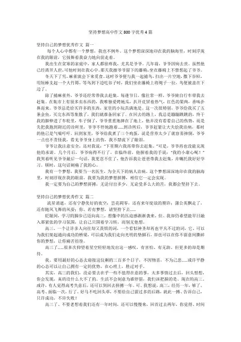 坚持梦想高中作文800字优秀4篇