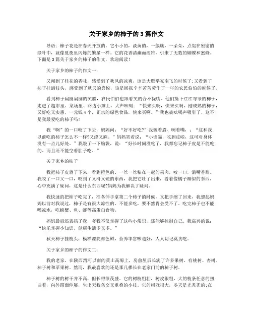 关于家乡的柿子的3篇作文