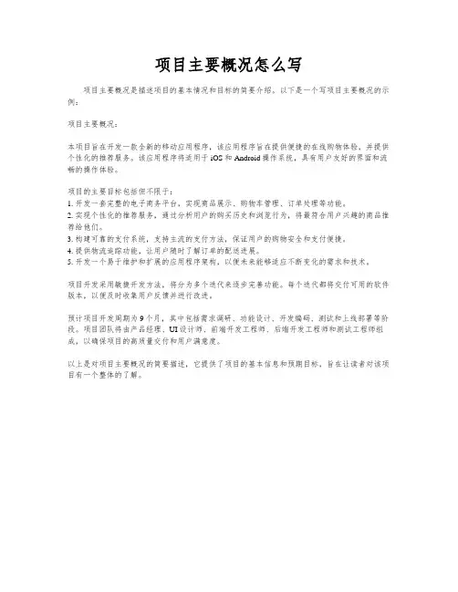 项目主要概况怎么写