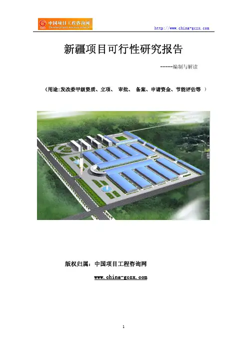 新疆项目可行性研究报告(编制依据及概要)