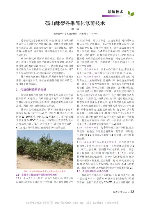 砀山酥梨冬季简化修剪技术