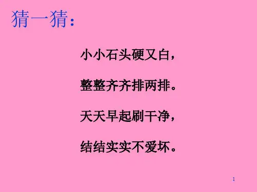 我换牙了ppt课件