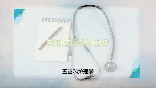 鼻的应用解剖生理