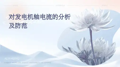 对发电机轴电流的分析及防范
