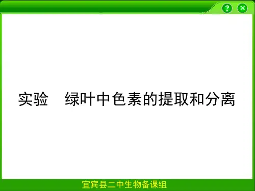 绿叶中色素的提取和分离
